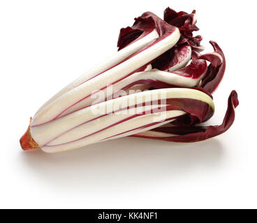 Radicchio Rosso di Treviso tardivo, Italienisch rotem Chicoree auf weißem Hintergrund Stockfoto