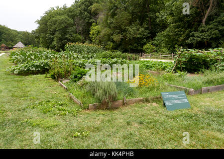 Der Pionier farm Verbrauchsmaterialien Feld auf dem Mount Vernon Estate, Alexandria, Virginia. Stockfoto