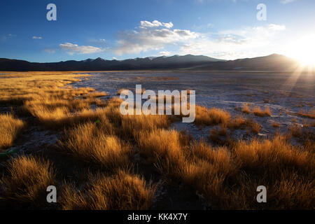 Trockenes Gras und Schichten von Salz bei Sonnenuntergang an der Tso Kar See, Ladakh, Jammu und Kaschmir, Indien. Stockfoto