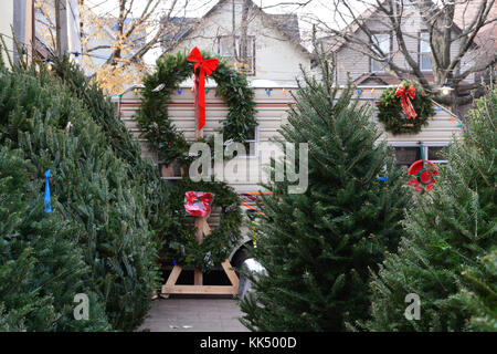 Der Lincoln Square kleinen Nachbarschaft Weihnachtsbaum viel hat die Bewohner auf der Nordseite von Chicago mit echten Bäumen für viele Jahre. Stockfoto