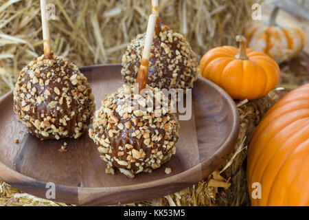 Karamel Äpfel beschichtet mit Muttern auf einer Holzplatte mit Kürbissen Stockfoto