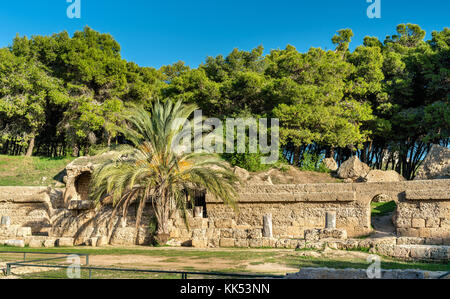 Die karthago Amphitheater, eine antike römische Amphitheater in Tunis, Tunesien Stockfoto