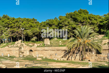 Die karthago Amphitheater, eine antike römische Amphitheater in Tunis, Tunesien Stockfoto