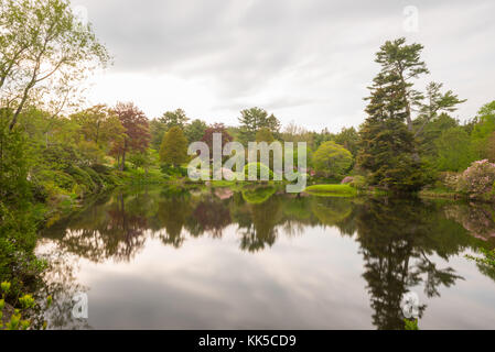 Asticou azalea Gärten im japanischen Stil in Mount Desert Island, Maine. Stockfoto