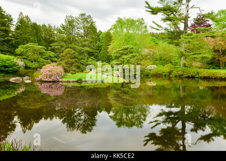 Asticou azalea Gärten im japanischen Stil in Mount Desert Island, Maine. Stockfoto