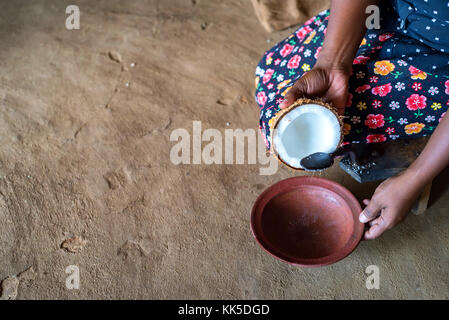 Copra coconut Reibe in die Hände der indischen Frau Stockfoto