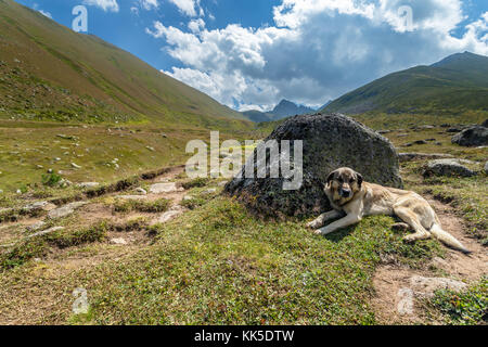 Querformat von kackar Berge oder einfach kackars, in den türkischen kackar daglari oder kackarlar in Rize, Türkei. Stockfoto