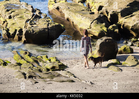 Frau zu Fuß Hund am Strand Stockfoto