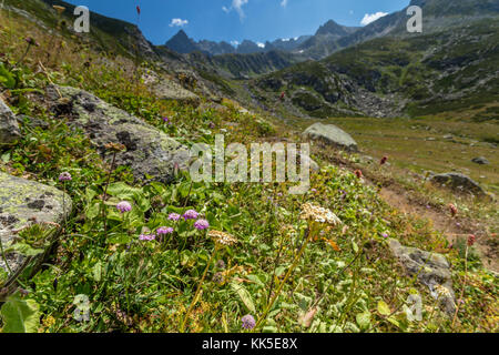 Querformat von kackar Berge oder einfach kackars, in den türkischen kackar daglari oder kackarlar in Rize, Türkei. Stockfoto