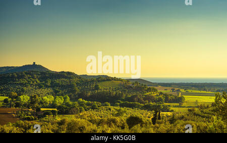 Bolgheri und Castagneto Weinberg Blick auf den Sonnenuntergang. Maremma Toskana, Italien, Europa. Stockfoto