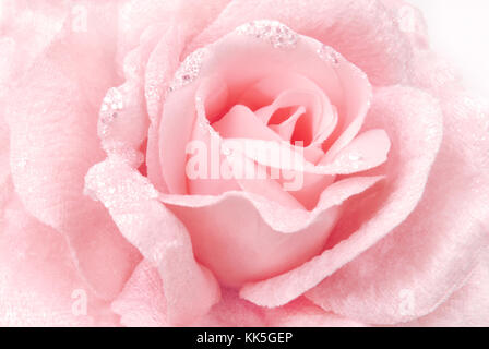 Rose Stoff rosa Textur Stockfoto