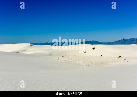 White Sands National Monument in New Mexico. Stockfoto