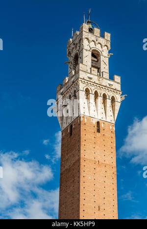 Rathaus Glockenturm, Detailansicht in Siena, Toskana, Italien Stockfoto