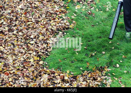 Gärtner, Clearing die Blätter mit einem laubbläser Werkzeug. Stockfoto