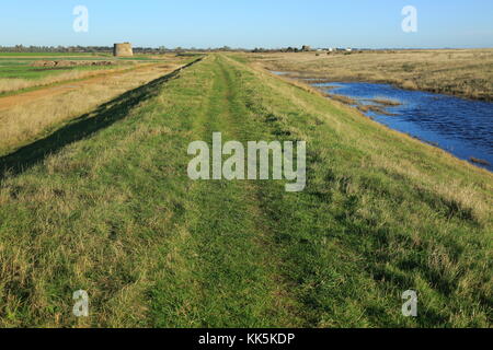 Pools von Wasser zwischen Kies Strand und Flut Verteidigung Wand, Shingle Street, Suffolk, England, UK Stockfoto