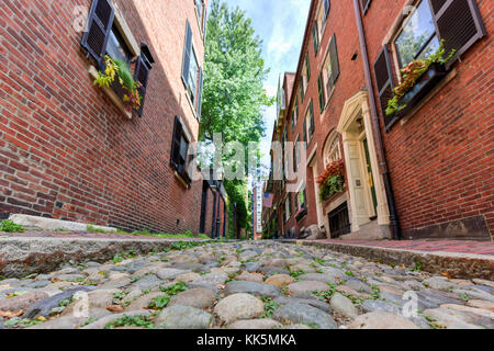 Acorn street in Boston, Massachusetts. Es ist eine schmale Gasse mit Kopfsteinpflaster, das Haus wurde von Familien in Mt beschäftigt Kutscher gepflastert. Vernon und ch Stockfoto