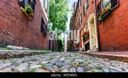 Acorn street in Boston, Massachusetts. Es ist eine schmale Gasse mit Kopfsteinpflaster, das Haus wurde von Familien in Mt beschäftigt Kutscher gepflastert. Vernon und ch Stockfoto