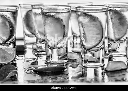 Closeup Wodka in ein Glas mit Eis, Limette Wodka, Gin Tonic, Tequila.. Schwarz und Weiß. Stockfoto