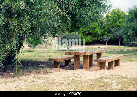 Holz- Picknick Tisch auf Sand in einem Park mit Bäumen Stockfoto