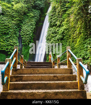 Wasserfall im indonesischen Dschungel Stockfoto