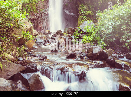 Wasserfall im indonesischen Dschungel Stockfoto