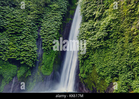 Wasserfall im indonesischen Dschungel Stockfoto