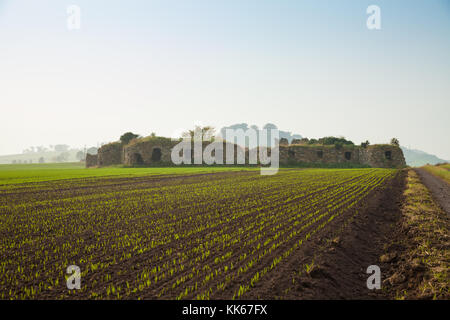 Die Reste der Burg in der Nähe von Athelstaneford Barnes East Lothian, Schottland. Stockfoto