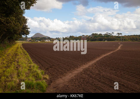 John Muir durchquert ein Bauernfeld in North Berwick Schottland. Stockfoto