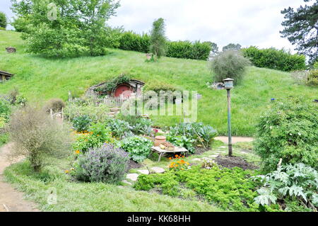 MATAMATA - NEUSEELAND - NOVEMBER 2016 : Hobbit Home mit roter Tür am Hobbiton Movie Set. Stockfoto