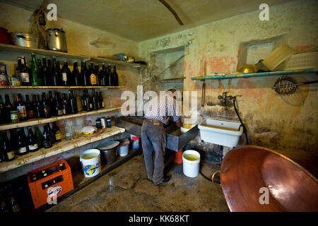 Guglielmo Locatelli im Labor seiner Molkerei Weide, Taleggio-Tal, Lombardei, Italien Stockfoto