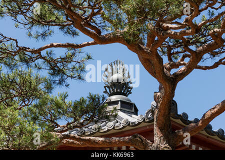 Nagano, Japan, Juni 5, 2017: Dach Ornament der Schrift Haus, kyozo an der buddhistischen Zenkoji Tempel in nagan Stockfoto