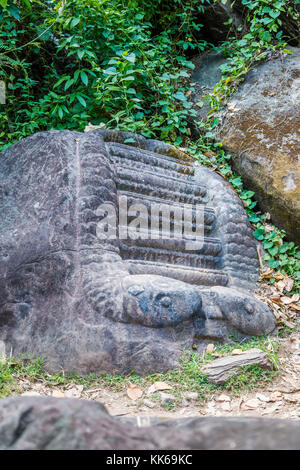 Geschnitzte Schritte möglicherweise für Menschenopfer in den Ruinen der pre-längst vergangene angkorianische Khmer Hindu Tempel von Wat Phou, Champasak, Laos, Südostasien Stockfoto