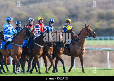 Jockeys und Pferde bereiten Sie ein Rennen auf Ffos Las, Trimsaran, Carmarthenshire, Wales zu starten Stockfoto