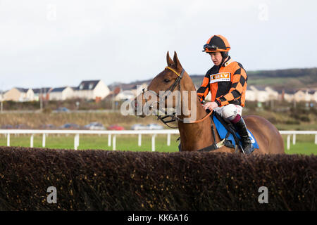 Rennpferd Dan Emmett geritten von Jockey Robert Dunne an Ffos Las Stockfoto