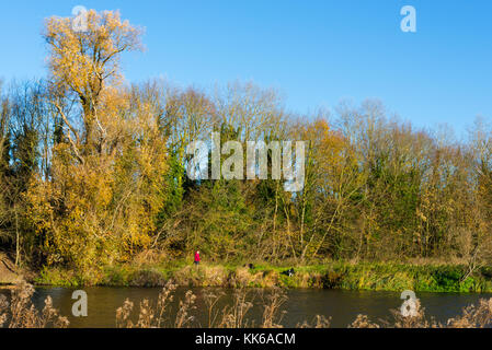 Hemingford Grey Wiese und den Fluss Great Ouse, Cambridgeshire, England, UK. Stockfoto