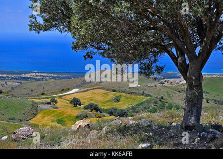 Die wilde und zerklüftete Landschaft des akamas Naturschutzgebiet Paphos Zypern mit Olivenbäumen und kleine Felder von Weizen schwierige Landwirtschaft und wi Stockfoto