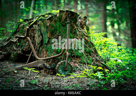 Alte verrostete Dreirad im Wald. Bbroken Fahrrad. Stockfoto