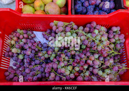 Nahaufnahme der Korb der Trauben auf dem Markt. Trauben von frischen Trauben bereit zu essen. Stockfoto