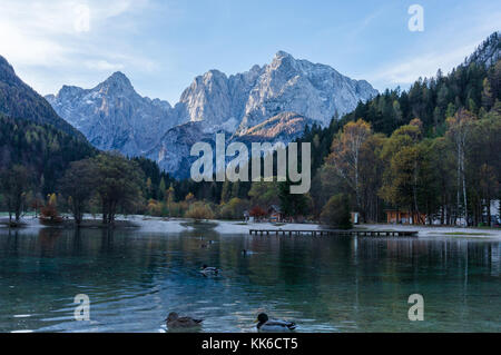 Enten schwimmen auf dem See Jasna mit dem majestätischen Slowenische Alpen im Hintergrund Stockfoto