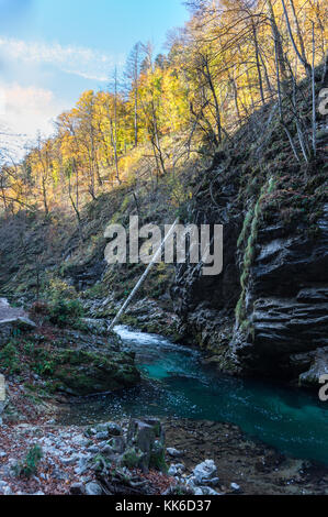 Schöne Herbstfarben in der Schlucht Vintgar in Slowenien Stockfoto