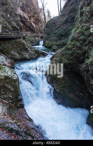 Vertikaler kleiner Wasserfall innerhalb der Schlucht Vintgar Stockfoto