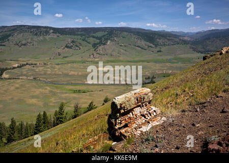 Wy 02685-00 ... Wyoming - ein Stück von einem versteinerten Baum auf der versteinerte Bäume gesehen Trail, während mit Blick auf die Lamar Valley in Yellowstone National Par Stockfoto