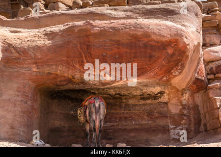 Esel Ausruhen im Schatten der rosa Sandstein gehauen Nabatäische Grab, Petra, Jordanien, Naher Osten Stockfoto