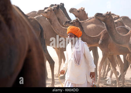 Kamelhirten/Händler an der Pushkar Kamel und Pferd Messe in Pushkar, Rajasthan, Indien Stockfoto