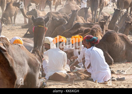 Kamelhirten/Händler an der Pushkar Kamel und Pferd Messe in Pushkar, Rajasthan, Indien Stockfoto