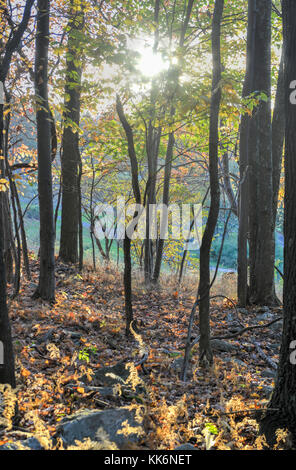 Die Natur im Herbst in New Paltz Mohonk Preserve, New York. Stockfoto