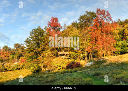 Die Natur im Herbst in New Paltz Mohonk Preserve, New York. Stockfoto