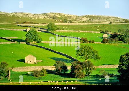 Pennine Bauernhof Landschaft mit Feldern, Steinmauern und Scheunen in der Nähe von Kettlewell in Wharfedale in England Yorkshire Dales National Park Stockfoto