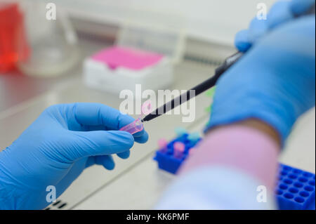 Wissenschaftler im Forschungslabor Stockfoto