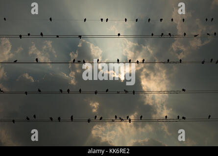 Tauben auf die elektrischen Kabel auf fantastischen Himmel mit Sun Ray und Cloud Hintergrund isoliert Stockfoto